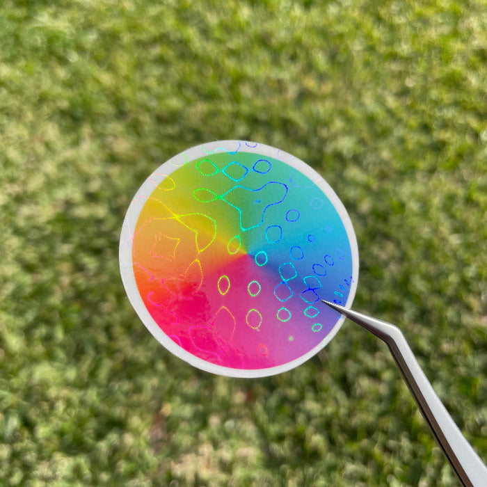 Top view of a colour wheel sticker in natural sunlight, showing the unique and irregularly shaped bubbles in the bubble web holographic cold laminate.