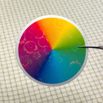 PREORDER A4 plum blossom holo glossy cold laminate sheets 10 pack - Stickybeaky Supplies